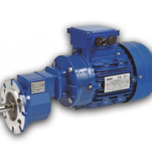 MOTORREDUCTOR 1 CV (0.75KW) TRIFASICO