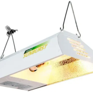LAMPP COVER  EUROFARMING