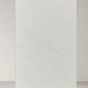 PVC CUBRIMIENTO DE PUERTA DELANTERA