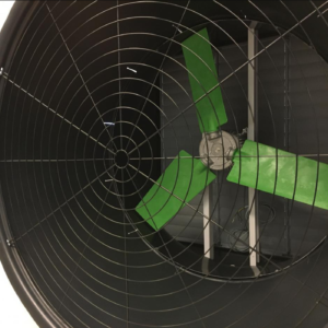 FAN IF52 INCH XTRA HC