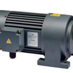 GEAR MOTOR 0.75KW,380V DRI SYS 75MM
